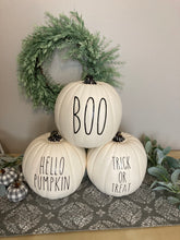 Load image into Gallery viewer, Farmhouse Fall and Halloween Pumpkin Decor
