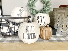 Load image into Gallery viewer, Farmhouse Fall and Halloween Pumpkin Decor