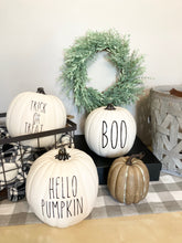 Load image into Gallery viewer, Farmhouse Fall and Halloween Pumpkin Decor