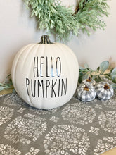 Load image into Gallery viewer, Farmhouse Fall and Halloween Pumpkin Decor