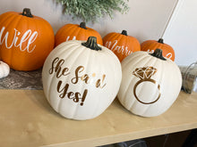 Load image into Gallery viewer, Fall Proposal Pumpkin Patch Setup
